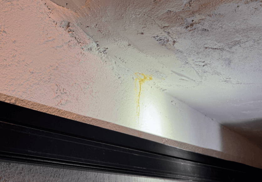 Pacific Heights mansion potential leak area 2.