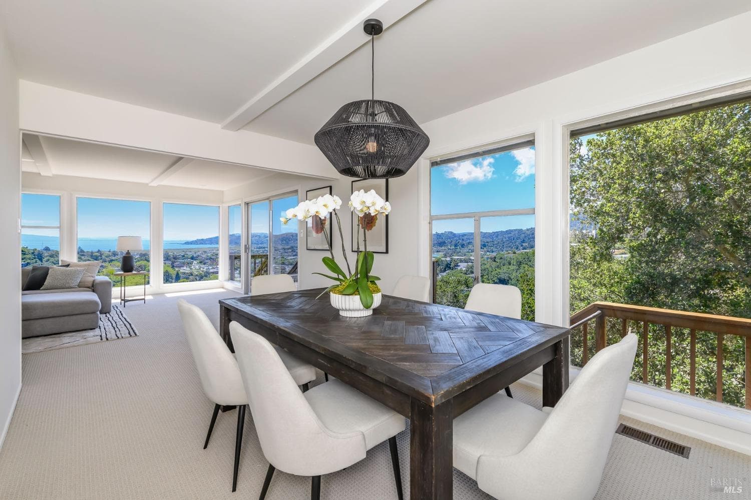 130 Tioga Ln, Greenbrae - Photo 3