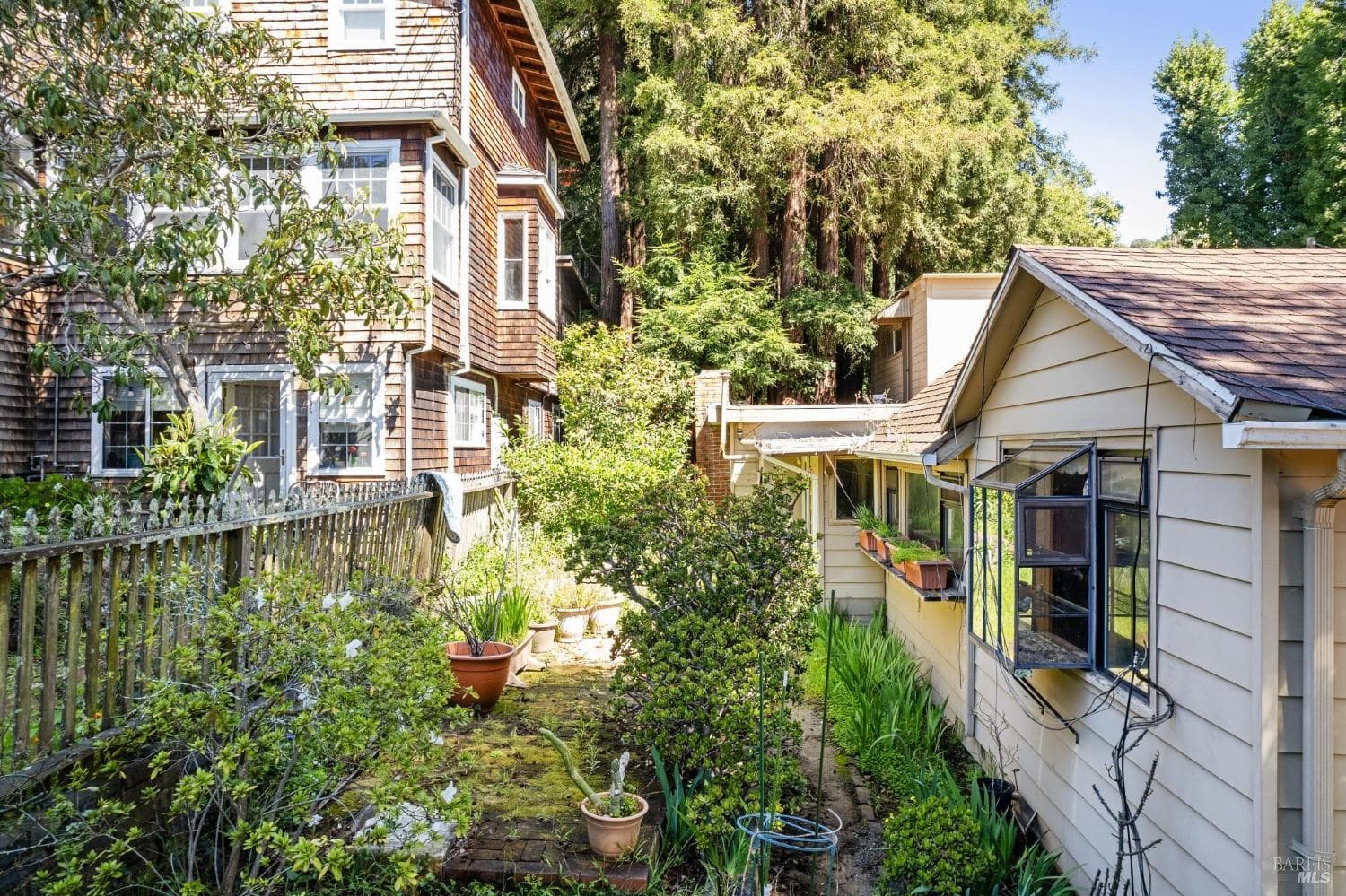 97 Buena Vista Ave, Mill Valley - Photo 12