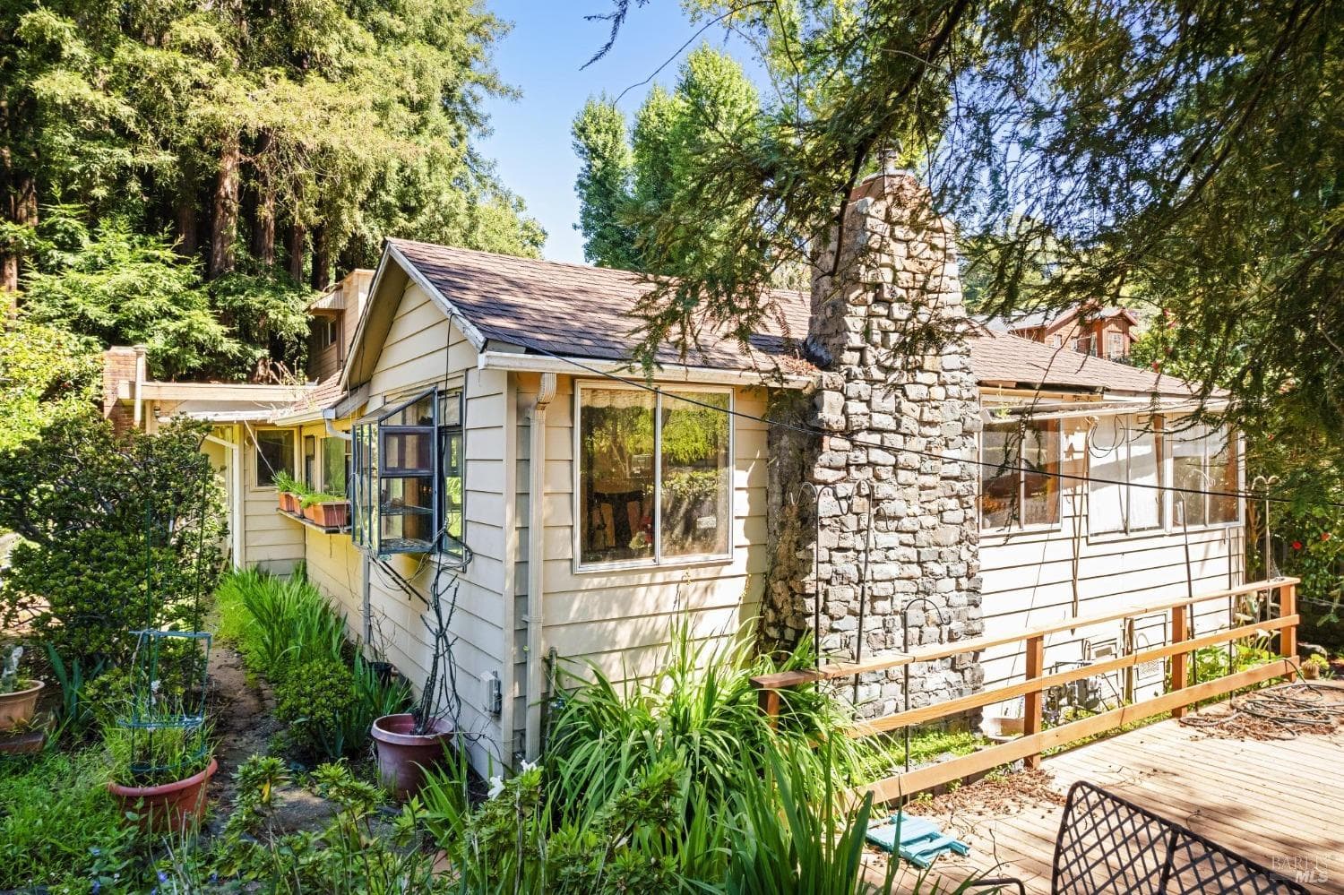97 Buena Vista Ave, Mill Valley - Photo 13