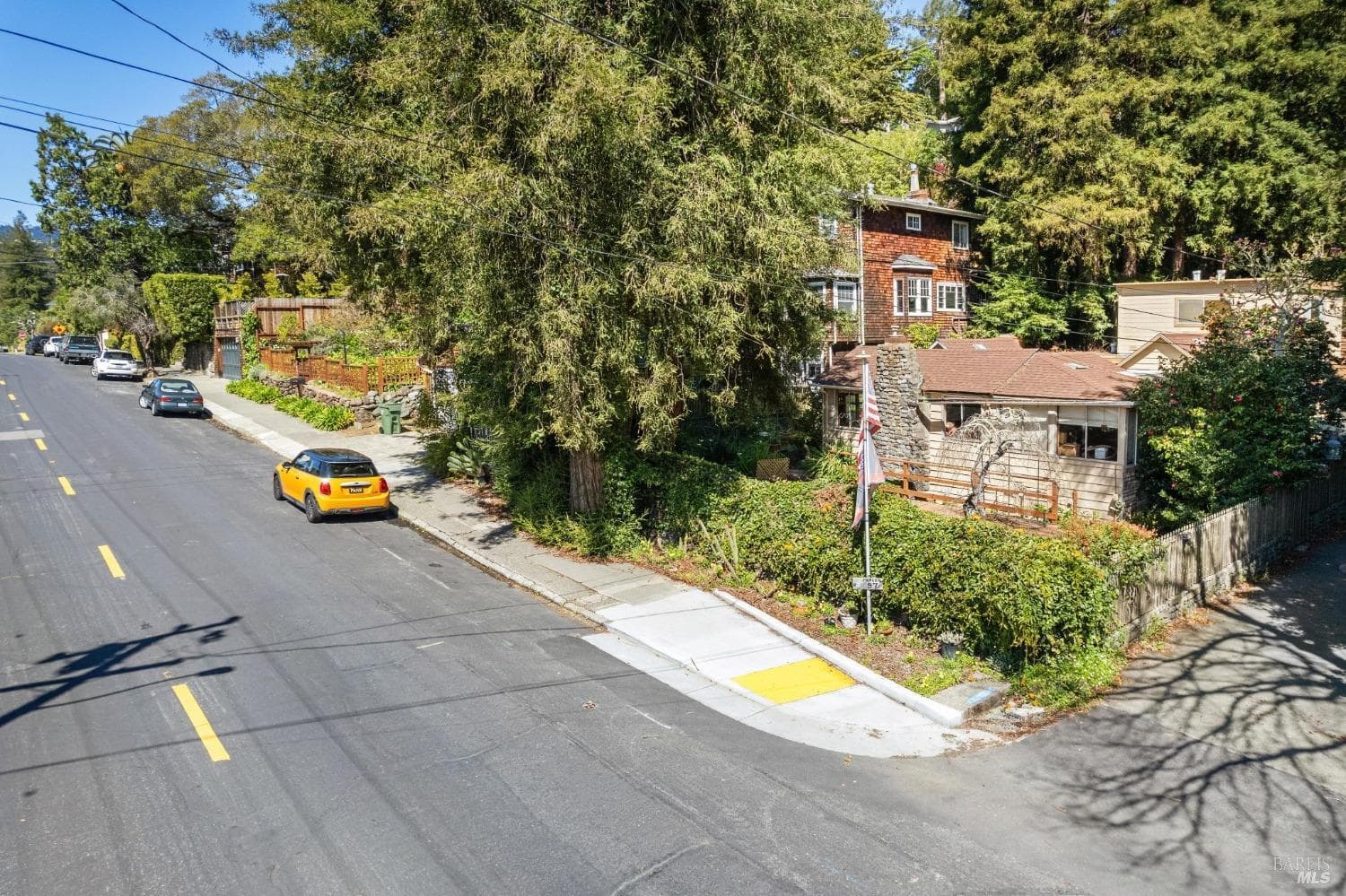 97 Buena Vista Ave, Mill Valley - Photo 14
