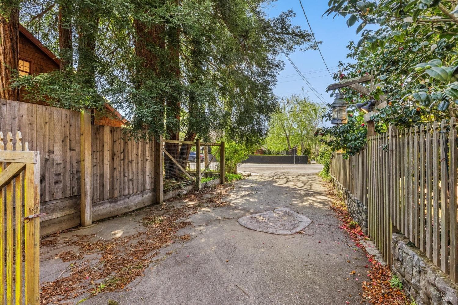 97 Buena Vista Ave, Mill Valley - Photo 15