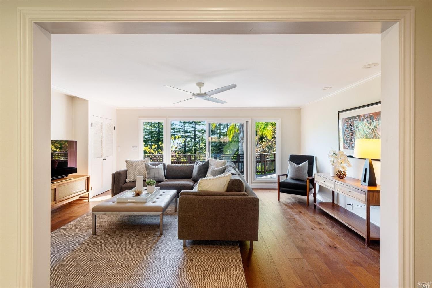 75 Main Dr, San Rafael - Photo 12