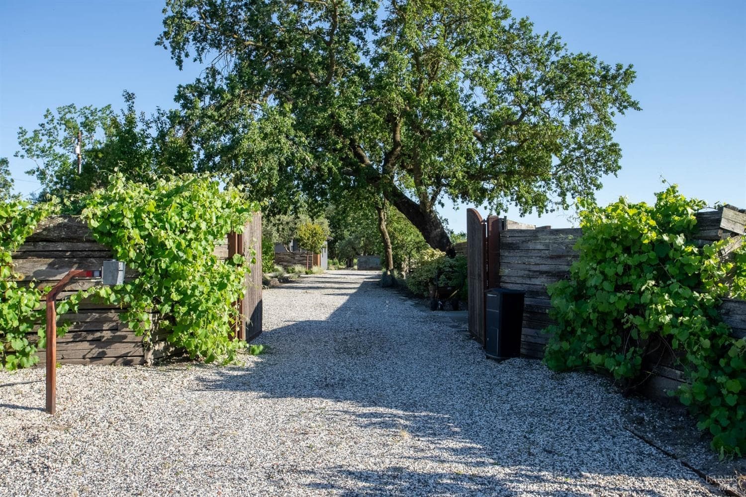 2569 Napa Rd, Sonoma - Photo 3