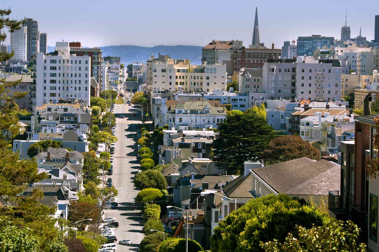 Pacific Heights Neighborhood