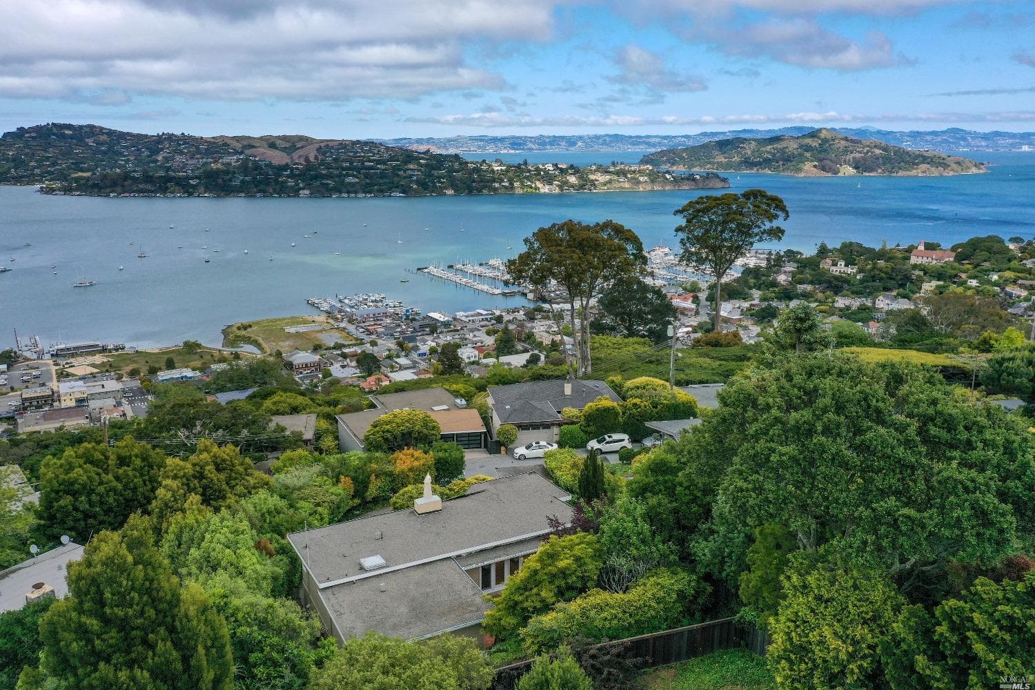 26 Vista Clara Rd, Sausalito - Photo 38