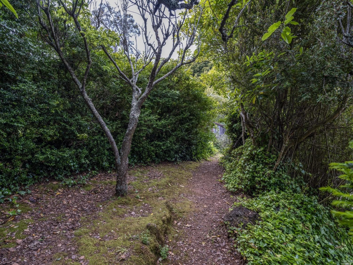 26 Vista Clara Rd, Sausalito - Photo 61