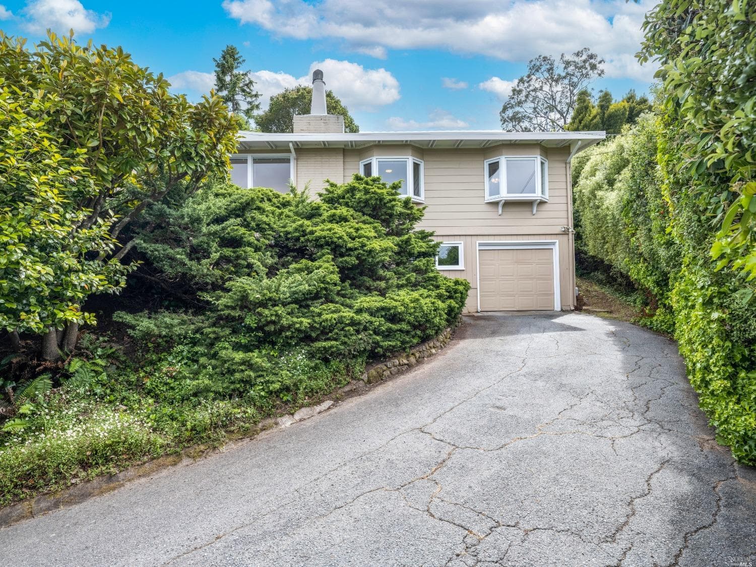 26 Vista Clara Rd, Sausalito - Photo 63