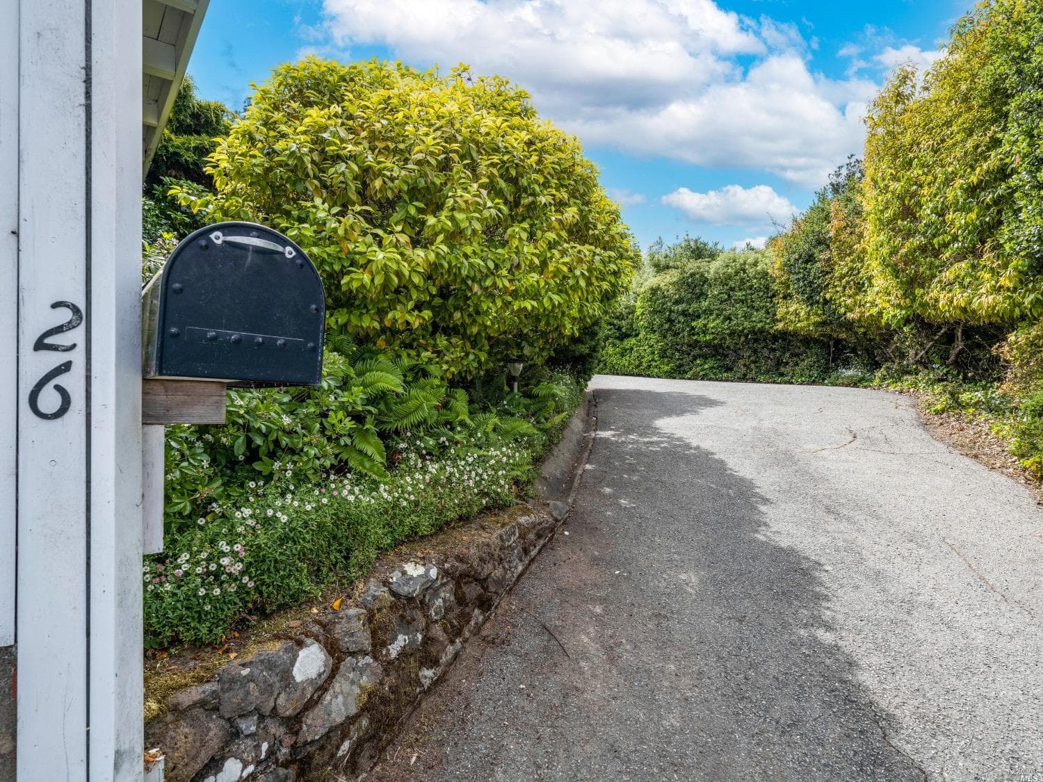 26 Vista Clara Rd, Sausalito - Photo 64