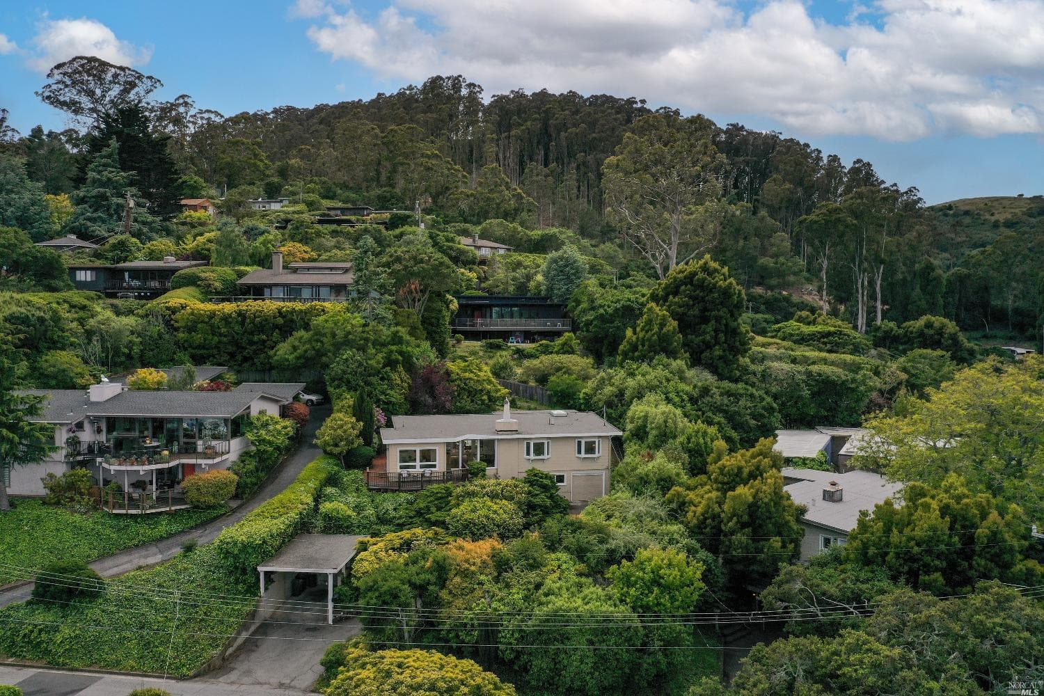 26 Vista Clara Rd, Sausalito - Photo 66