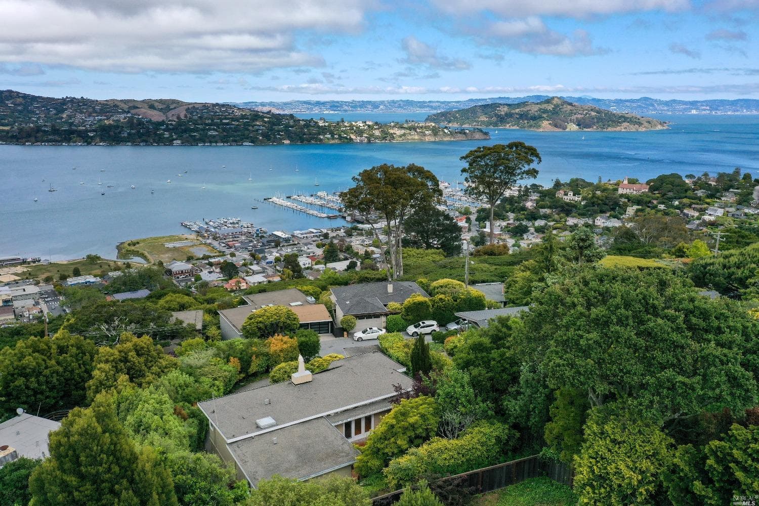 26 Vista Clara Rd, Sausalito - Photo 68