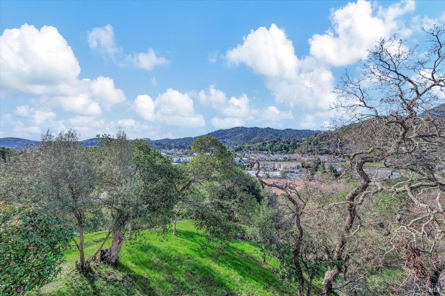 565 Via Casitas #15, Greenbrae - Photo 8