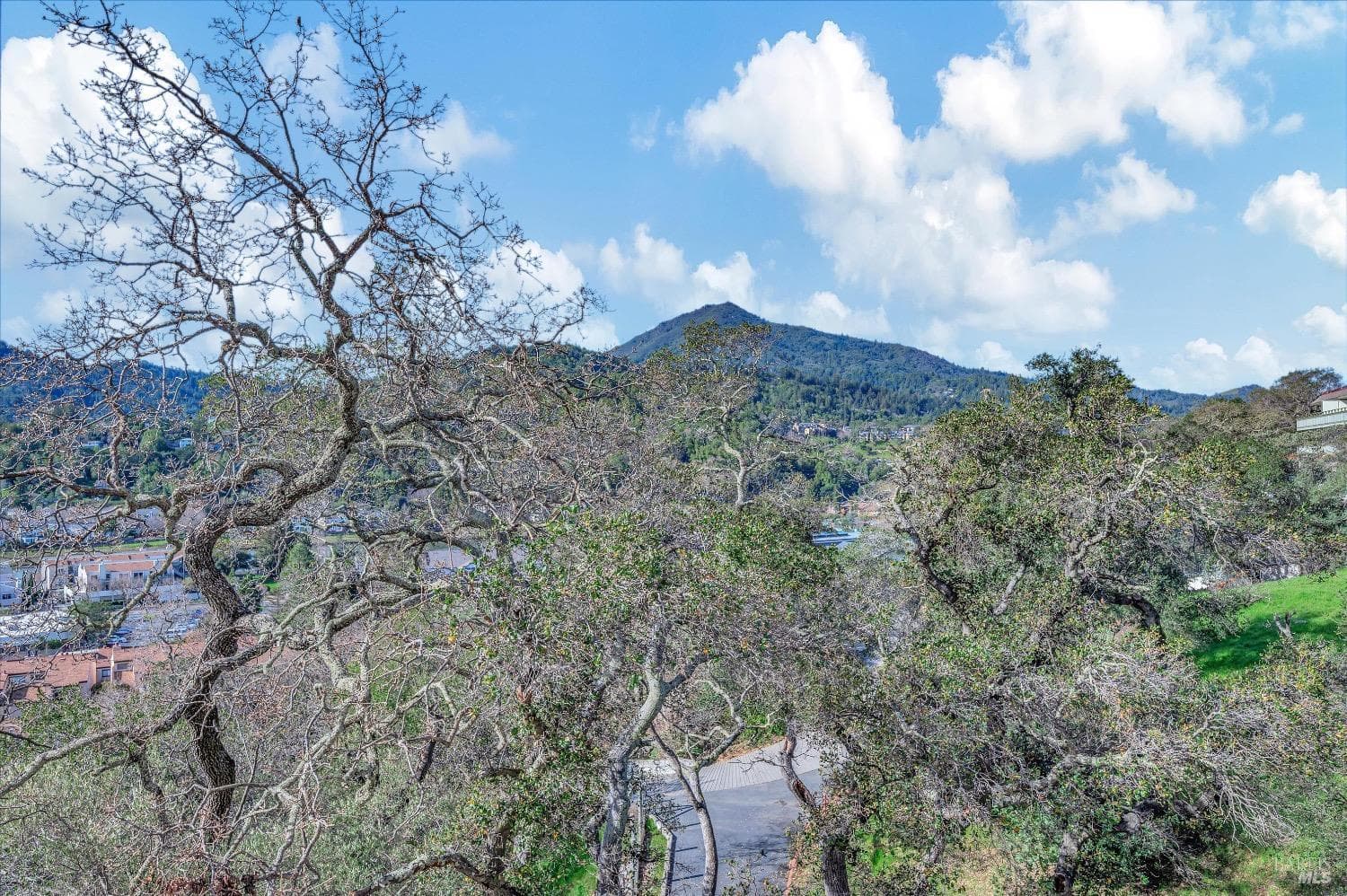 565 Via Casitas #15, Greenbrae - Photo 9