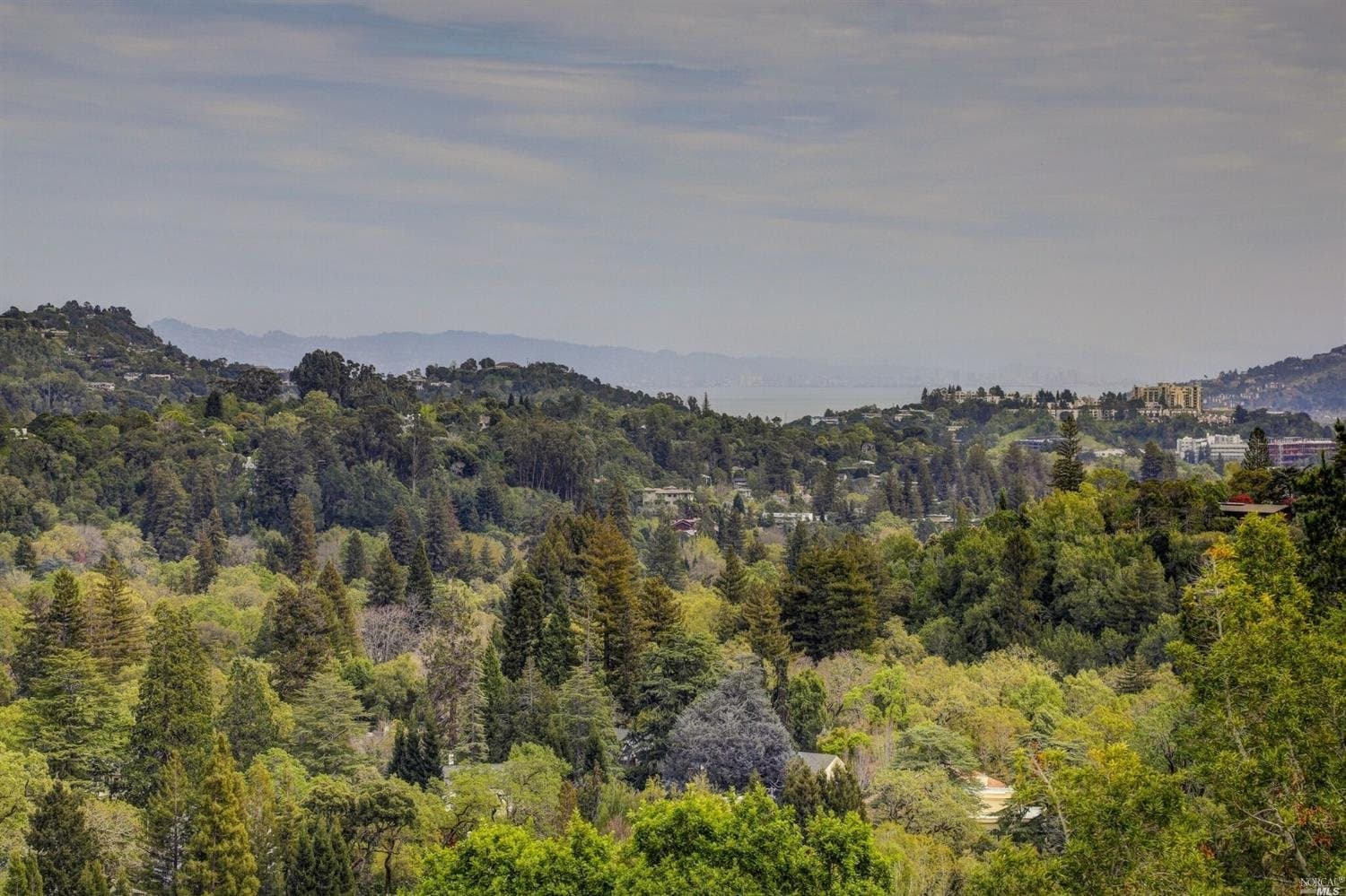 100 Chipman Pl, San Anselmo - Photo 2