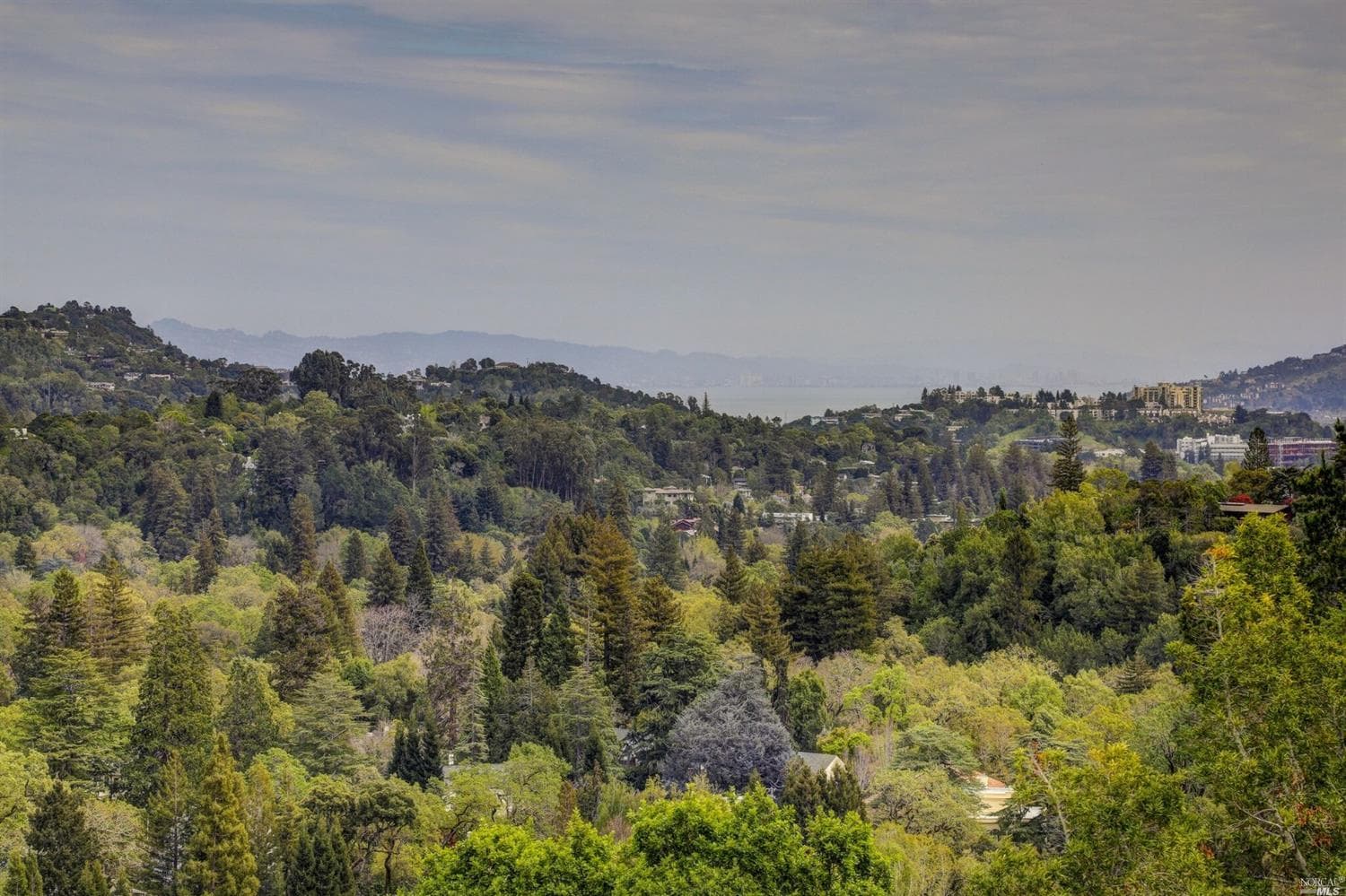 100 Chipman Pl, San Anselmo - Photo 12