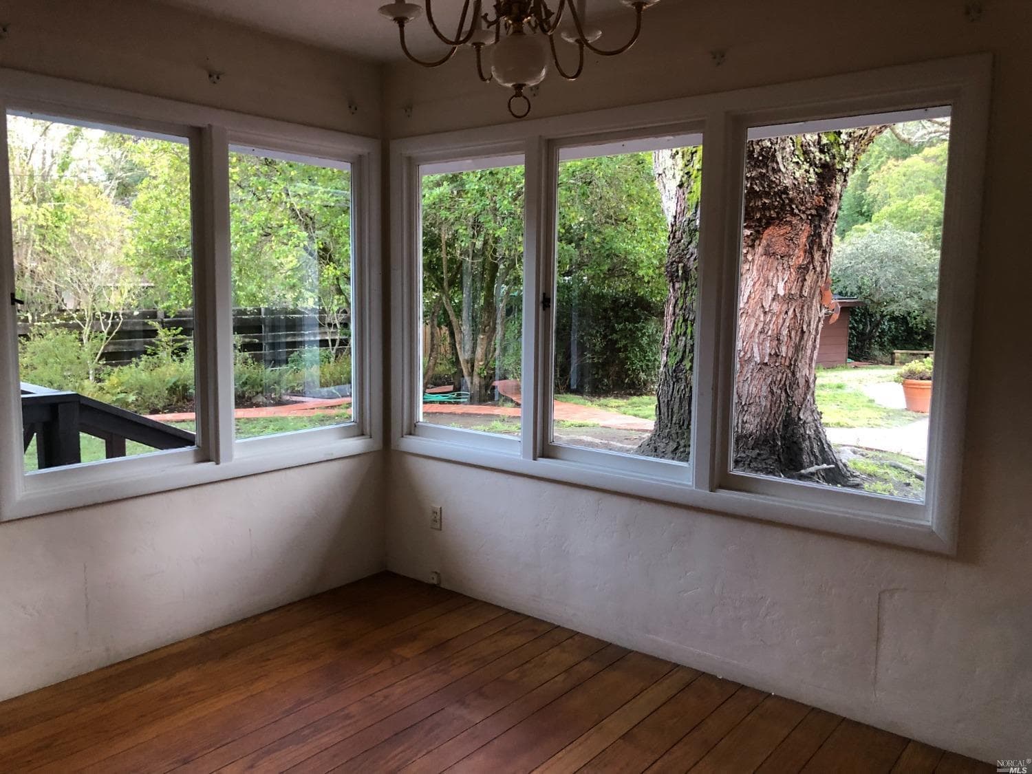 1177 Butterfield Rd, San Anselmo - Photo 5