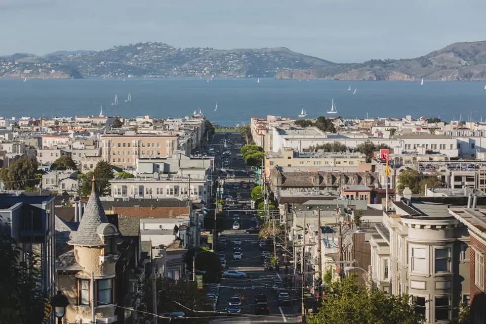 Cow Hollow Neighborhood