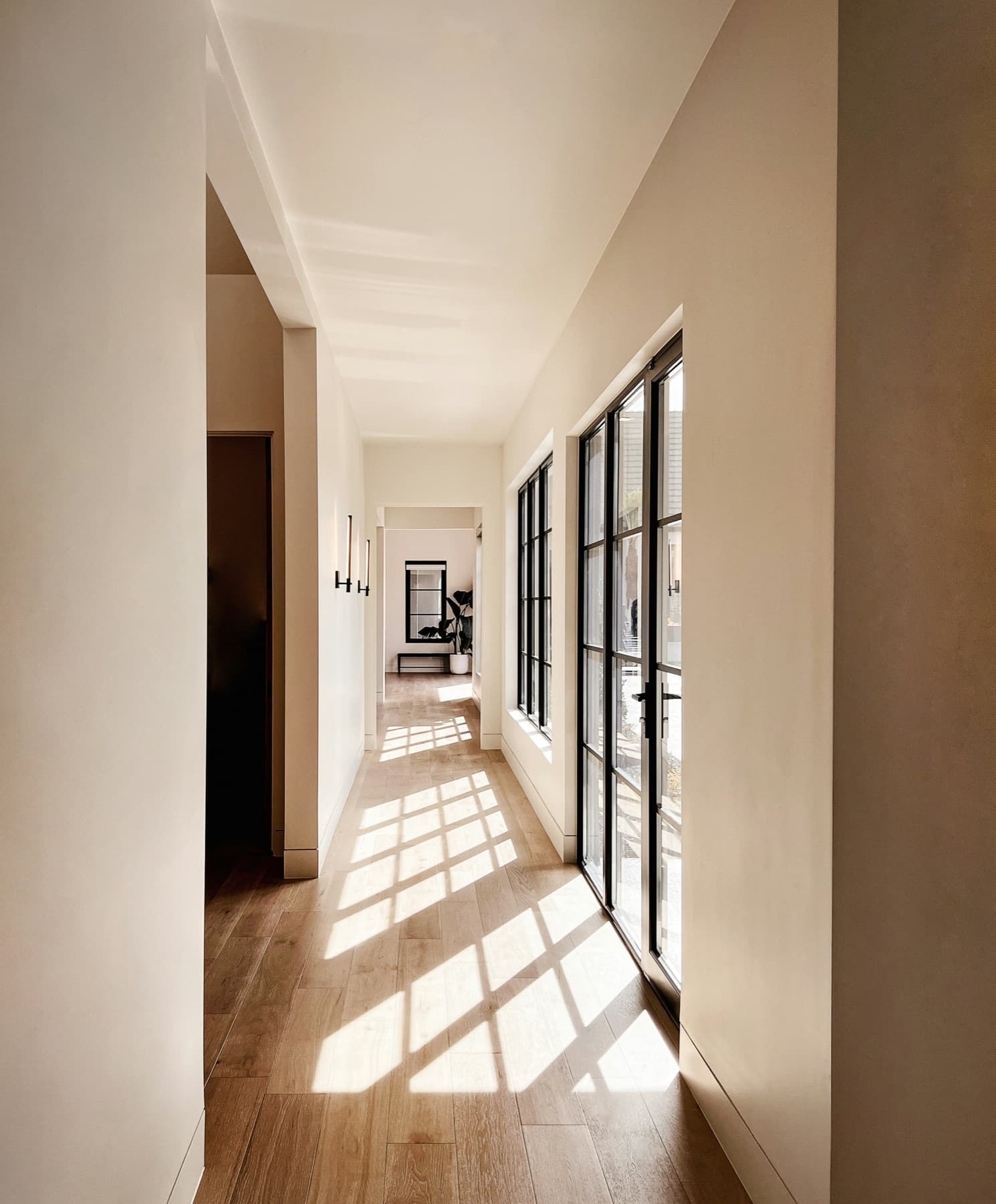 Sunlit hallway with warm plaster walls and steel-framed glass doors casting window-pane shadows across an oak floor
