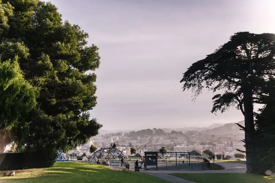Presidio Heights Neighborhood