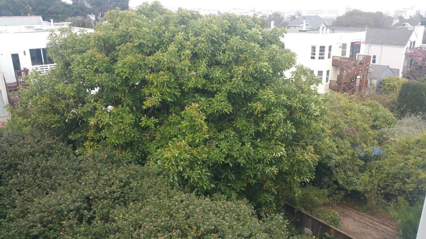 64-66 Beaver St, San Francisco - Photo 19